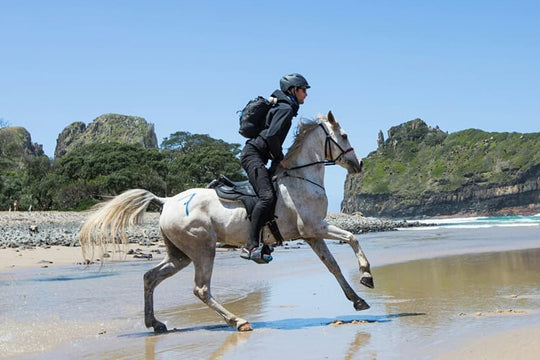 Men's Classic Endurance Riding Tights